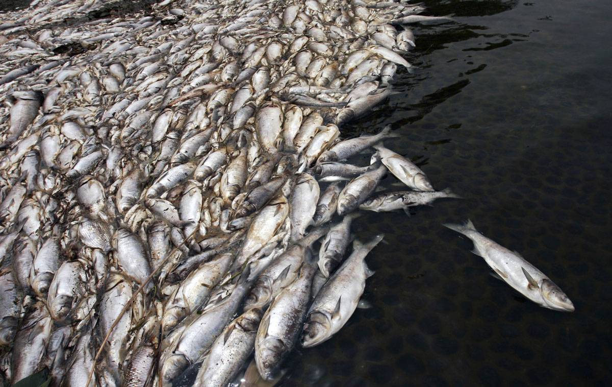 water-pollution-in-china