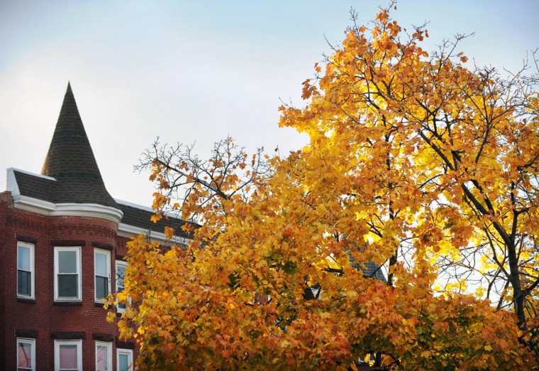 Fall foliage in Baltimore in late afternoon light. (Kenneth K. Lam/Baltimore Sun)