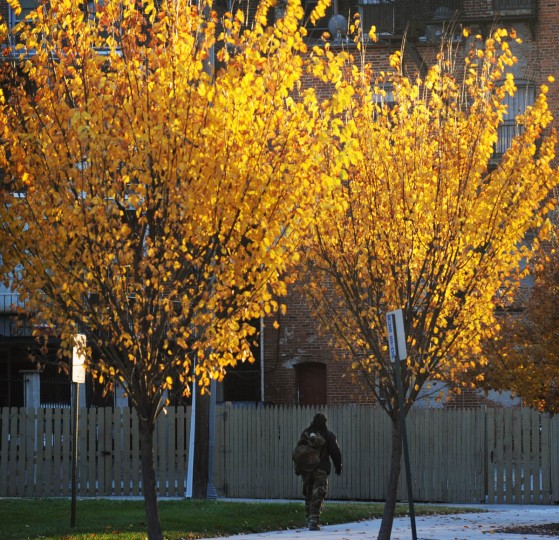 Fall foliage in Baltimore in late afternoon light. (Kenneth K. Lam/Baltimore Sun)