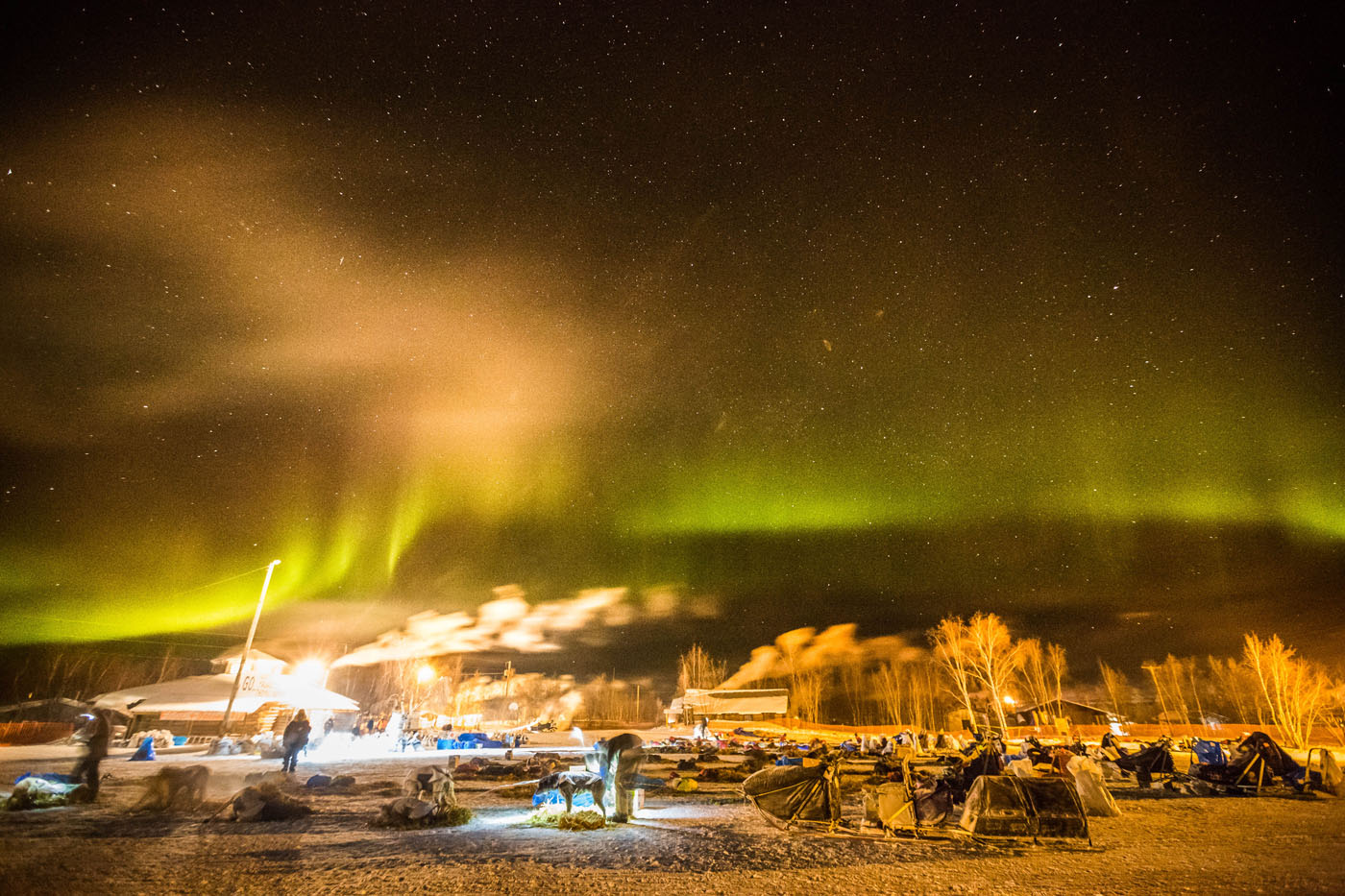 Northern lights over the Alaska Iditarod