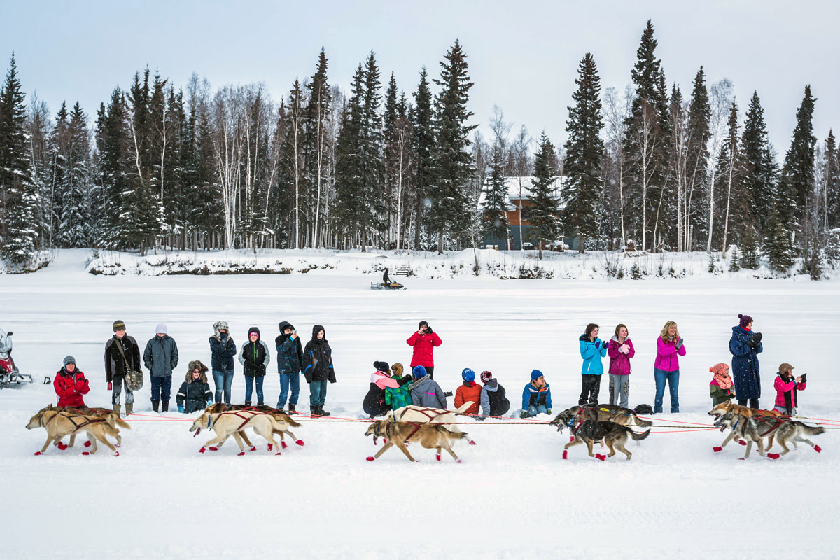 AP Iditarod