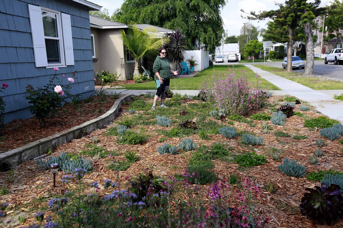 livermore-rebate-increases-for-drought-resistant-landscaping