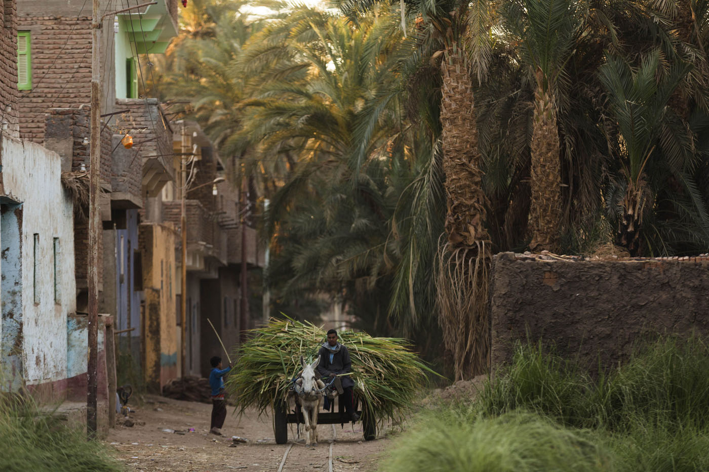 AP Mideast Egypt Soccer Fans Photo Essay