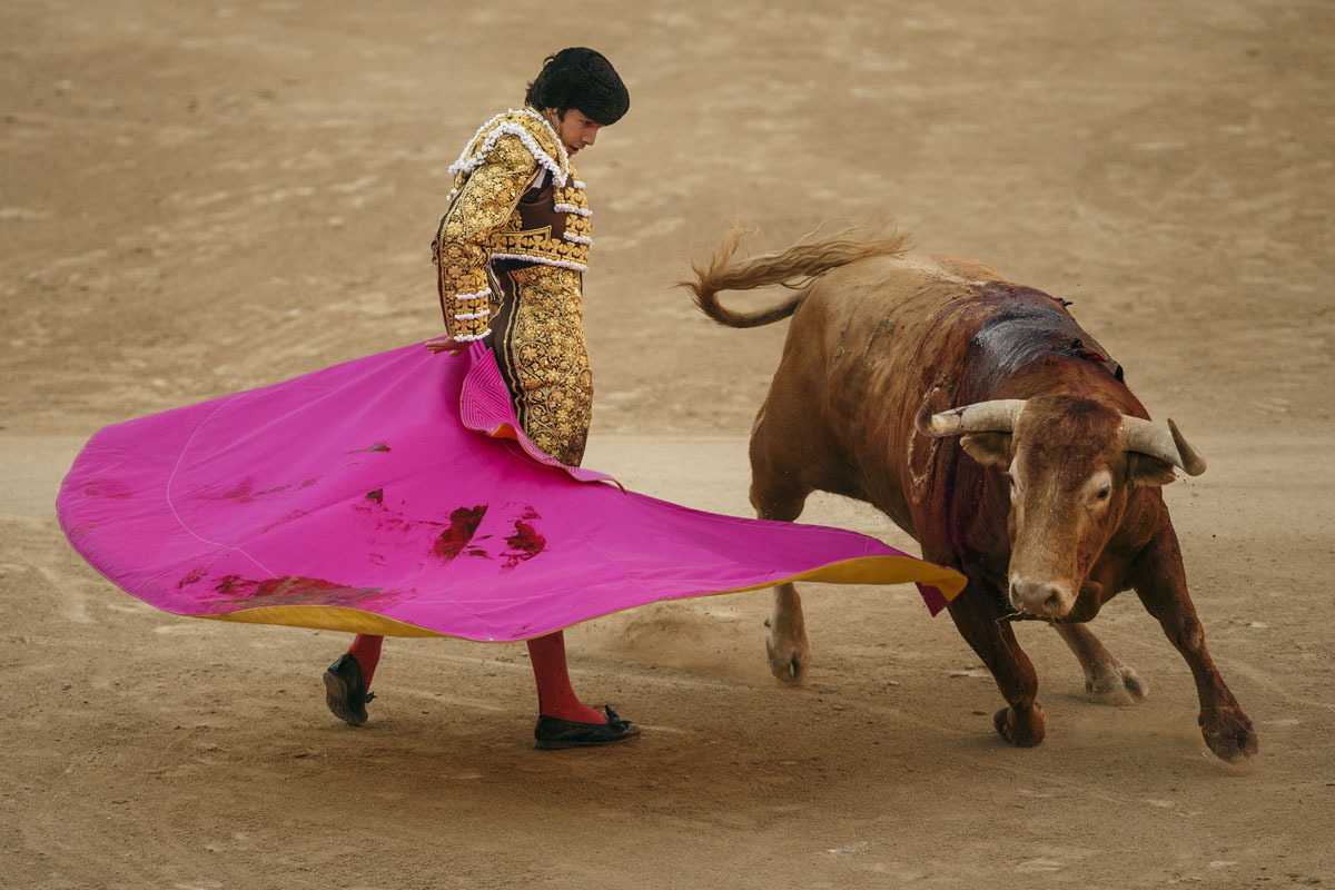 ap-spain-bullfight