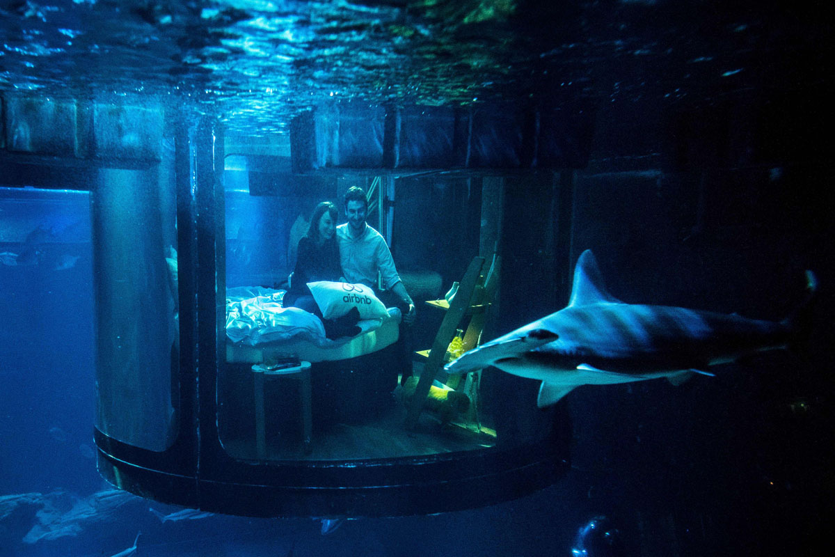 accommodation site, look at a shark tank from an underwater bedroom ...