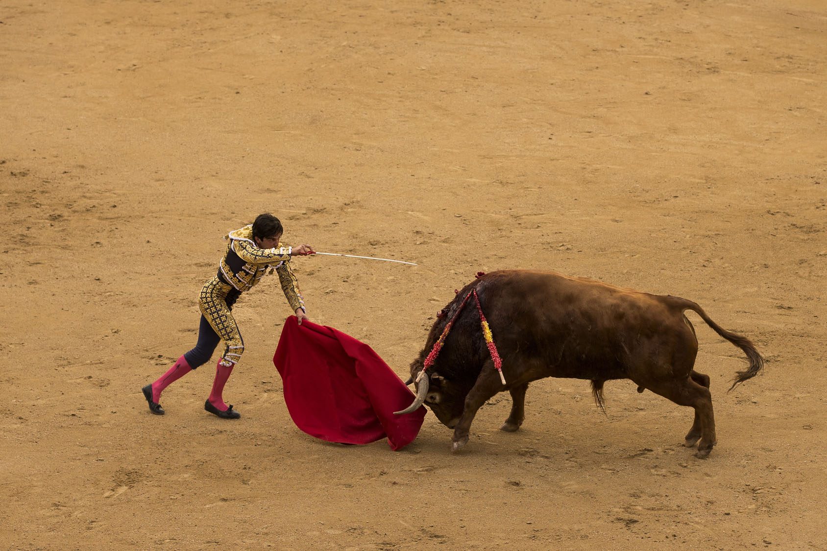 APphoto Spain Bullfight