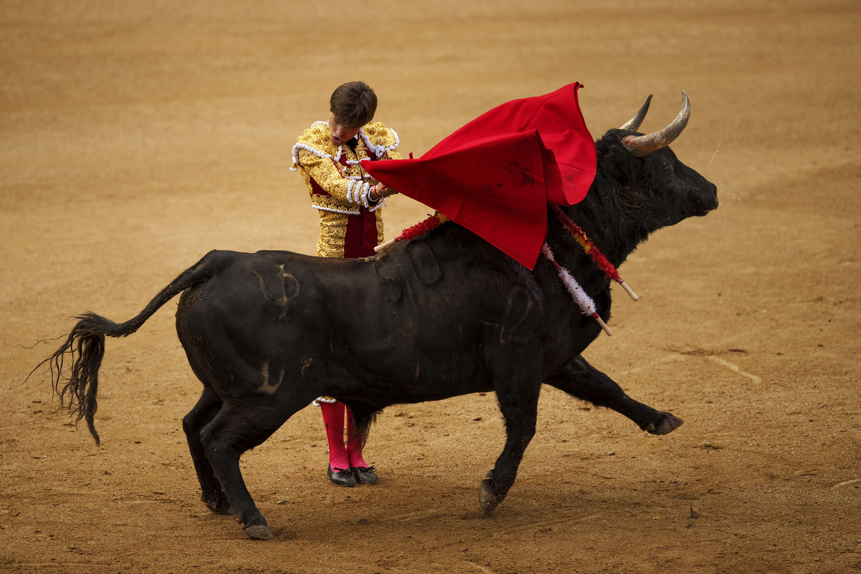 Bullfighting In Madrid Spain