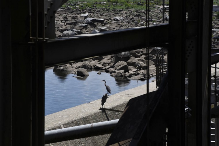 Exelon conowingo