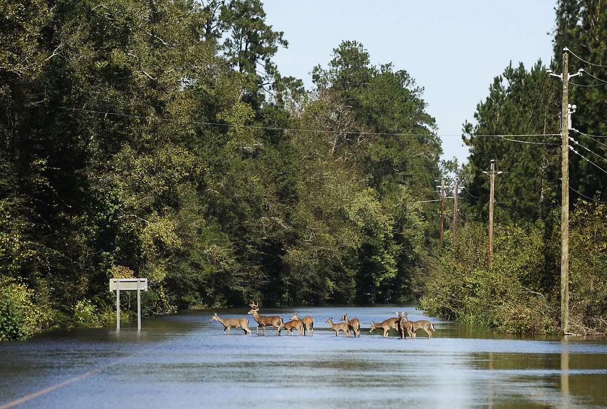 Aftermath of Hurricane Matthew