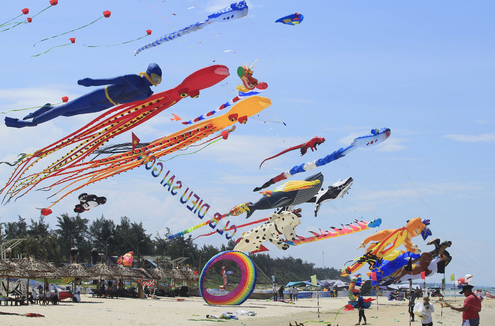 APphoto_Vietnam Kite Festival
